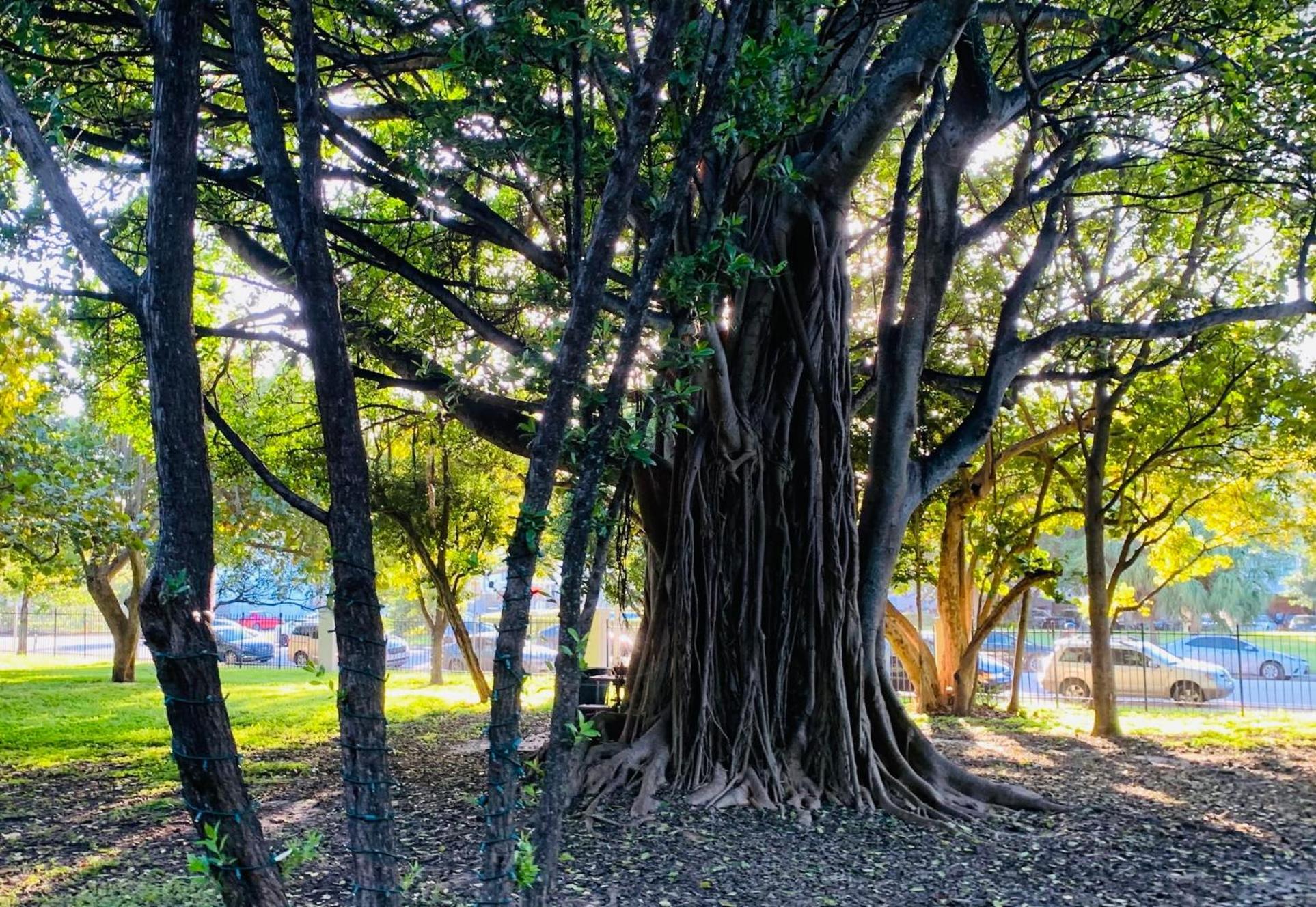Steps To Sea Miami Beach Free Parking Pet & Family Friendly Διαμέρισμα Εξωτερικό φωτογραφία